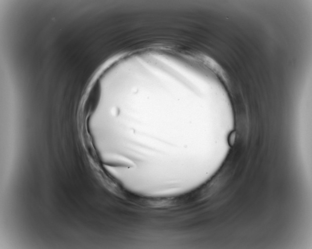 X0000086261435200704261947