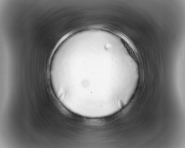 X0000086261436200704261947