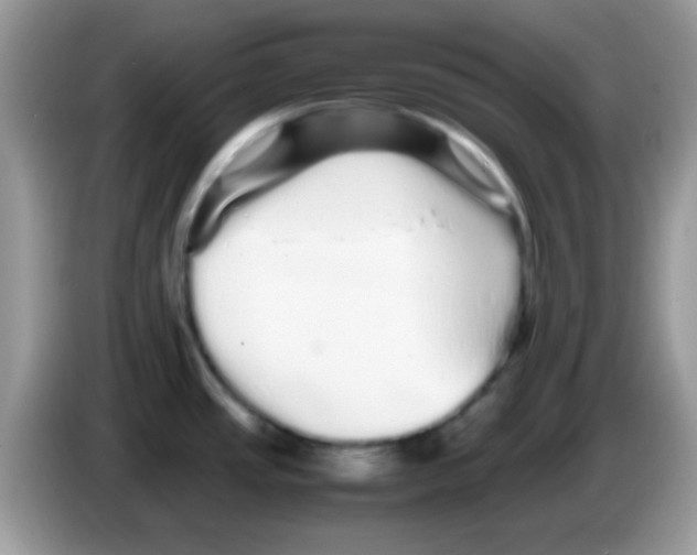 X0000086261437200704261947