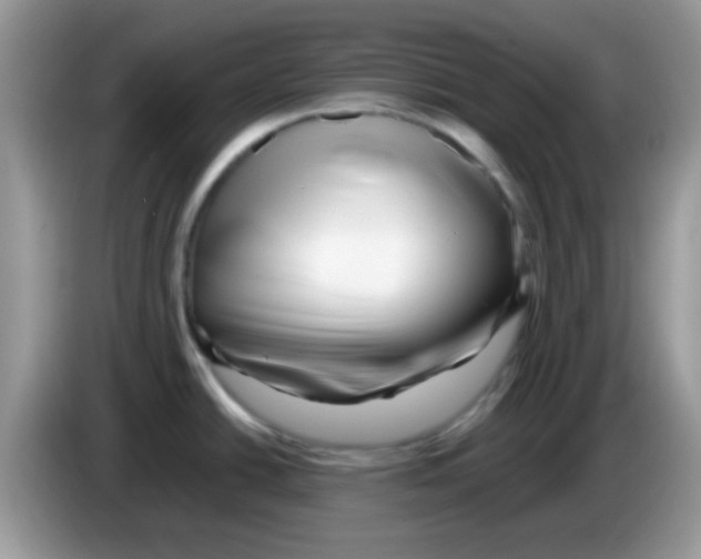 X0000086261438200704261947