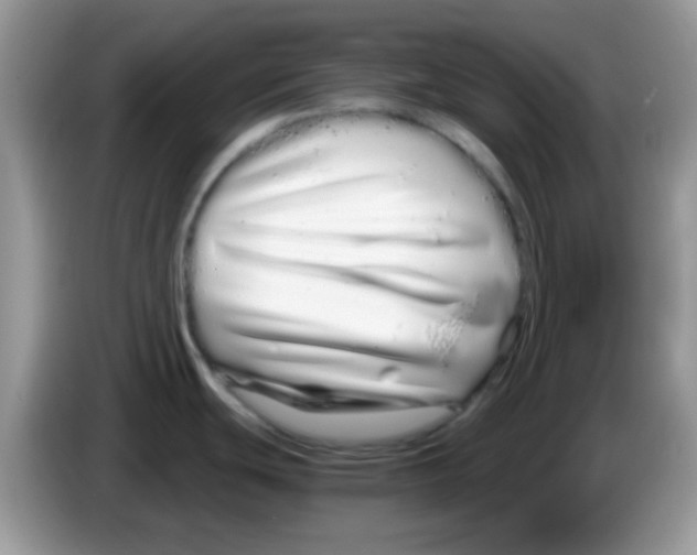 X0000086261439200704261947
