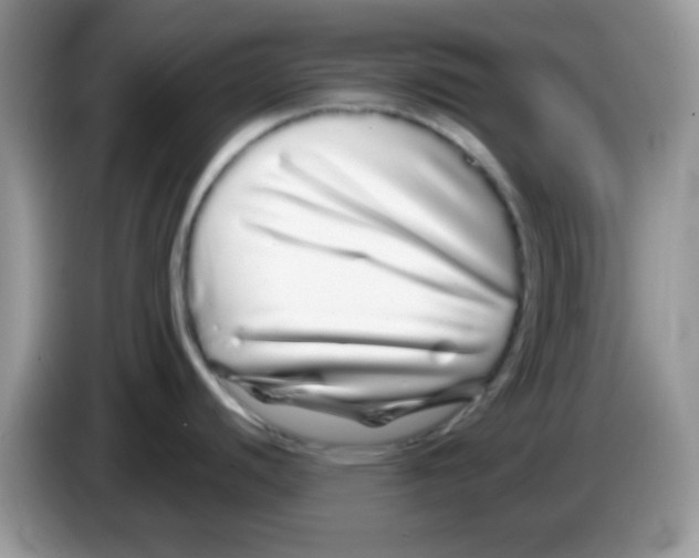 X0000086261440200704261947