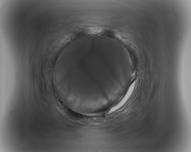 X0000086261441200704261946
