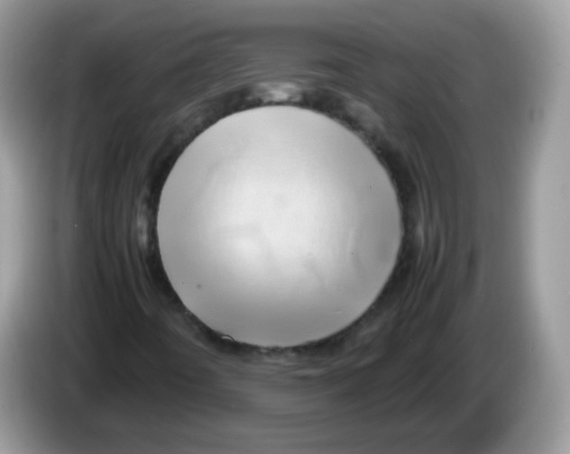 X0000086261442200704261946