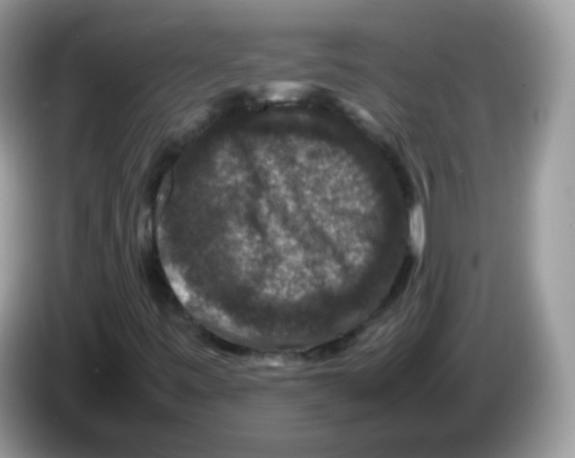 X0000086261443200704261946