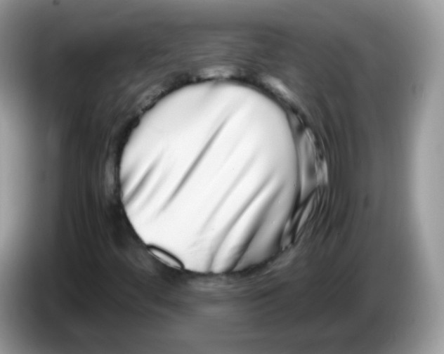 X0000086261444200704261946