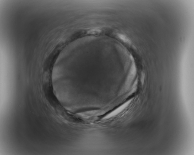 X0000086261445200704261946