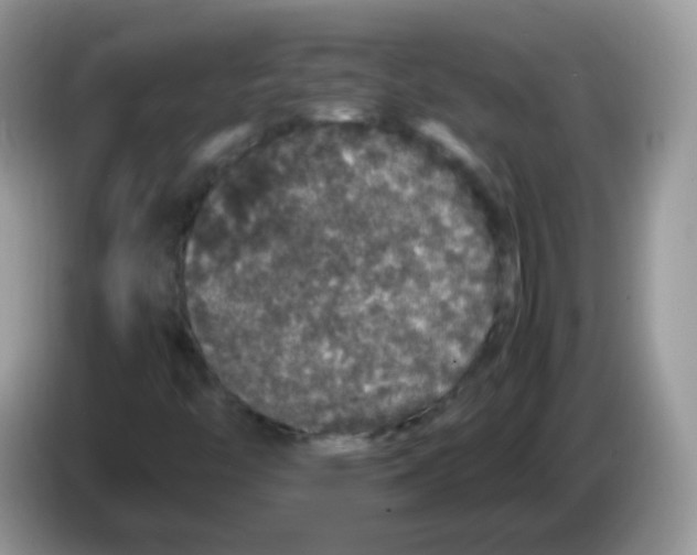 X0000086261446200704261946