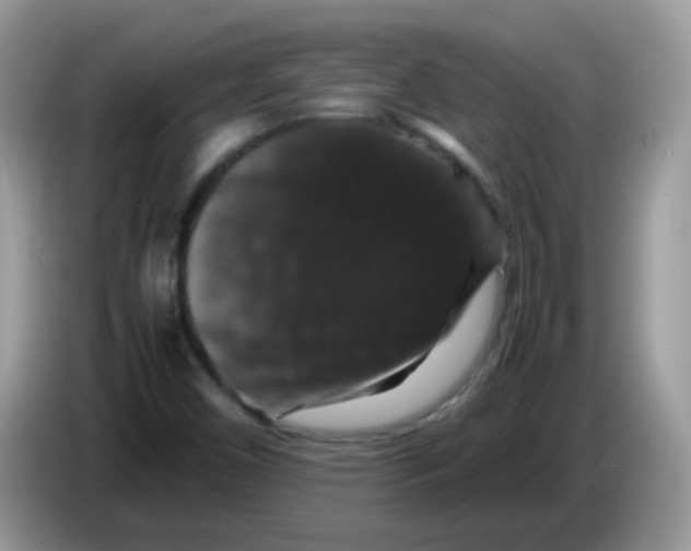 X0000086261450200704261946