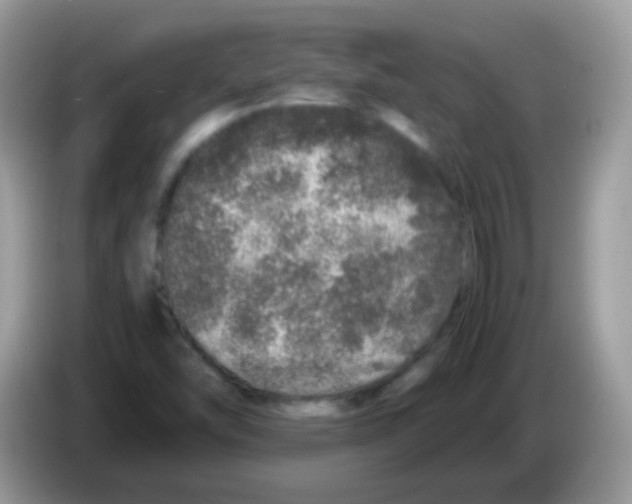 X0000086261454200704261946