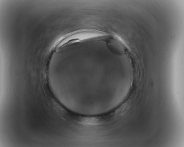 X0000086261455200704261946