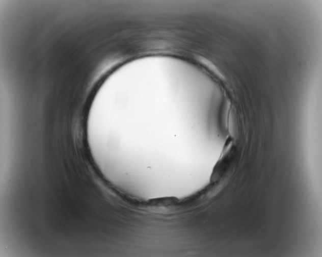 X0000086261458200704261946