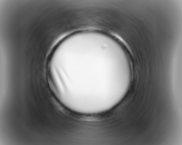 X0000086261460200704261946