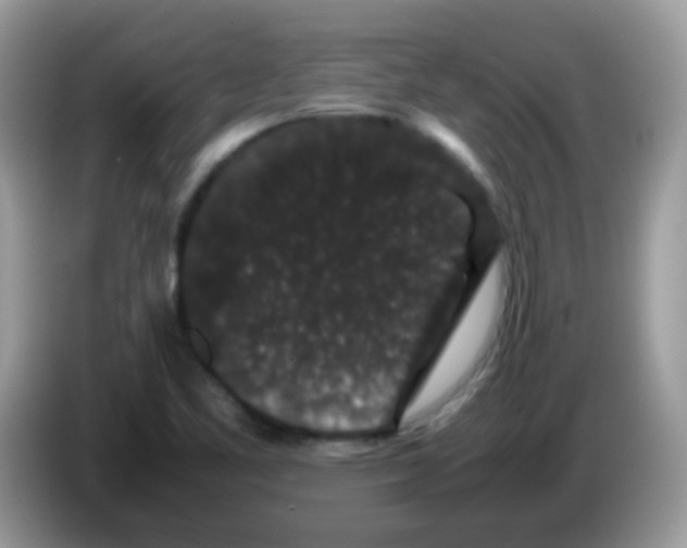 X0000086261461200704261946
