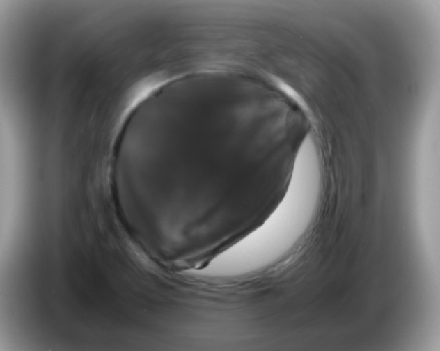 X0000086261463200704261946