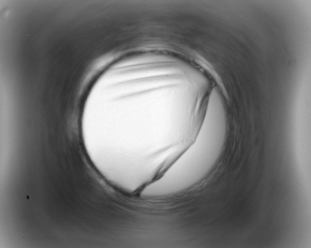 X0000086261464200704261946