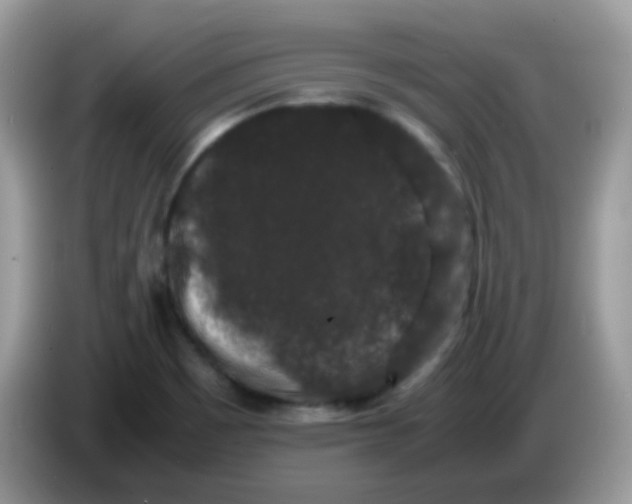 X0000086261465200704261946