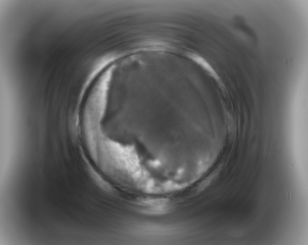 X0000086261466200704261946