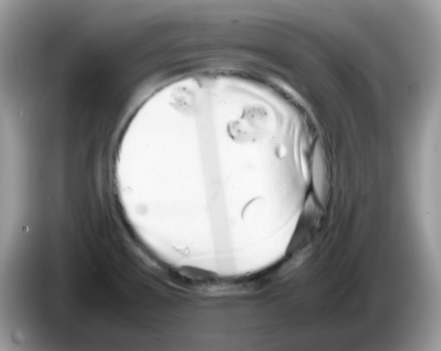X0000086261467200704261946