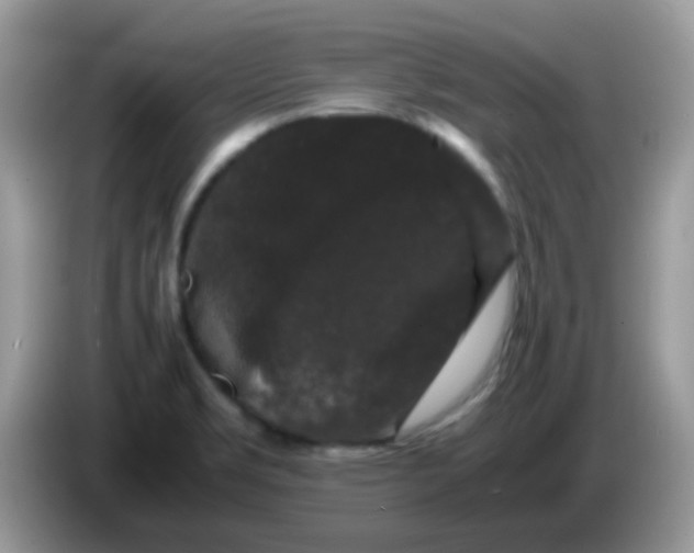 X0000086261469200704261946