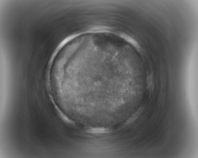 X0000086261470200704261946