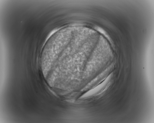 X0000086261473200704261946