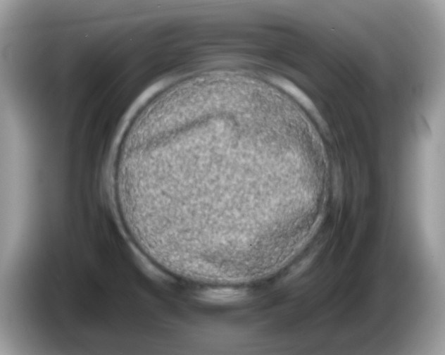 X0000086261478200704261946