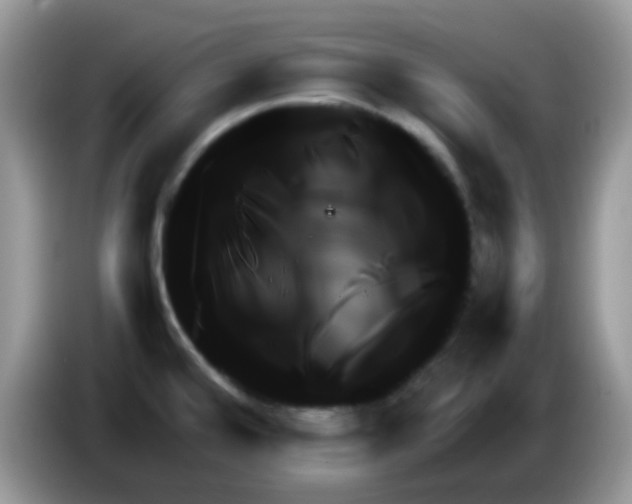 X0000086261480200704261946