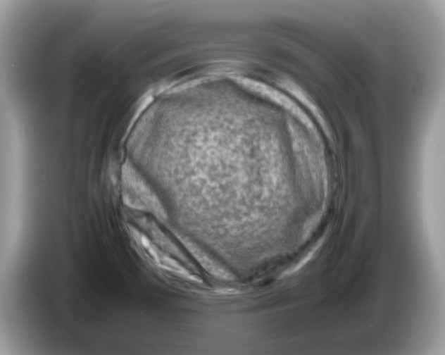 X0000086261481200704261946