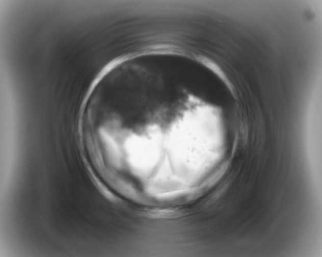 X0000086261482200704261946