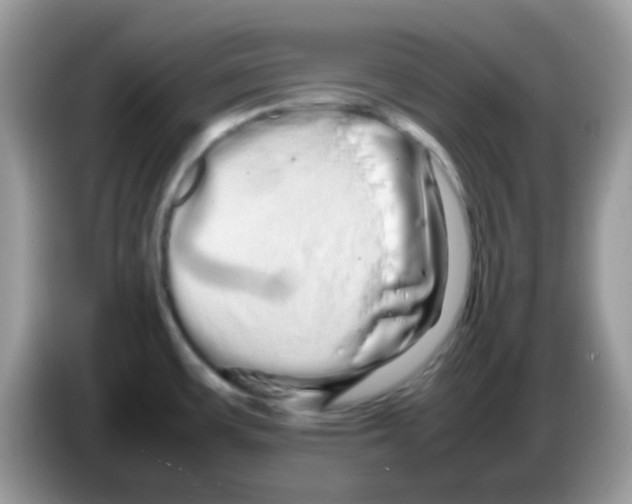 X0000086261483200704261946