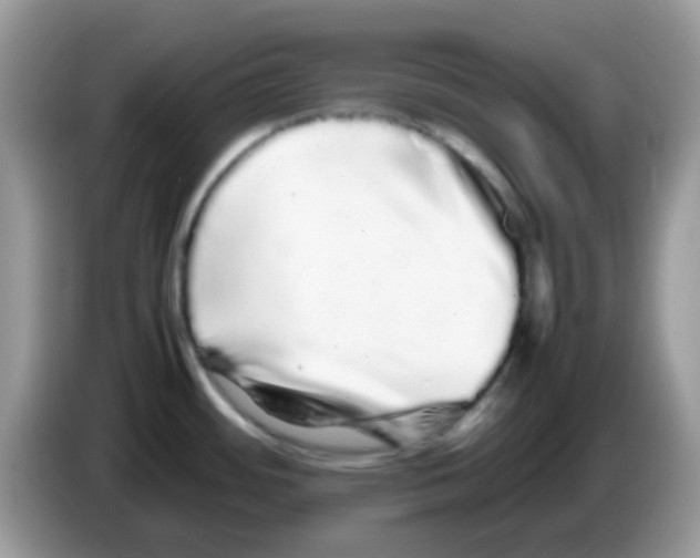 X0000086261484200704261946