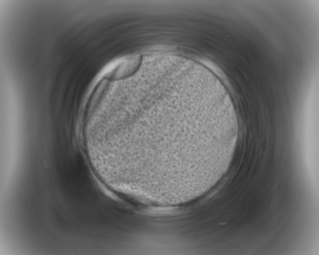 X0000086261486200704261946