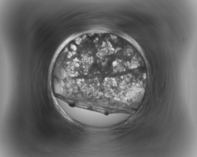 X0000086261488200704261946