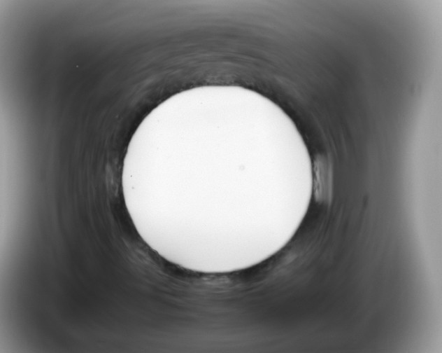 X0000086261491200704261945
