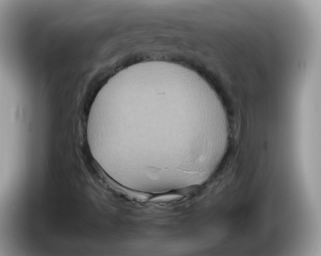 X0000086261493200704261945