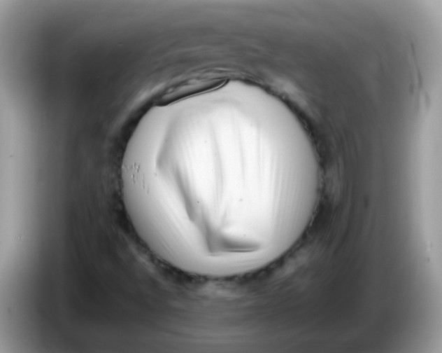 X0000086261496200704261945