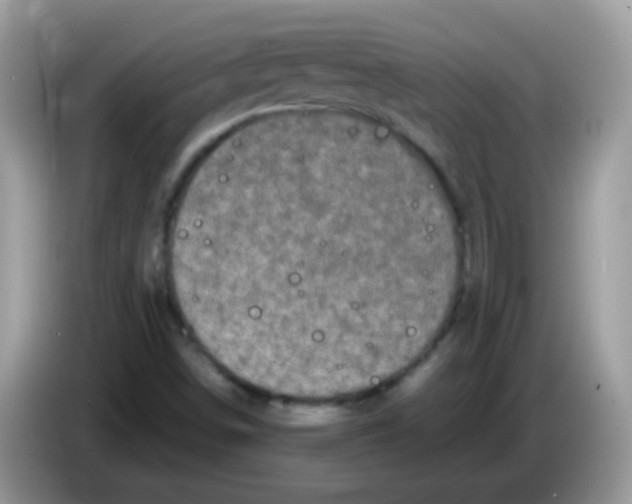 X0000086261498200704261945