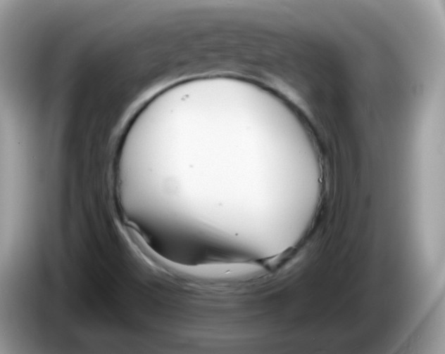 X0000086261500200704261945