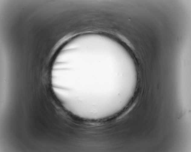 X0000086261501200704261945
