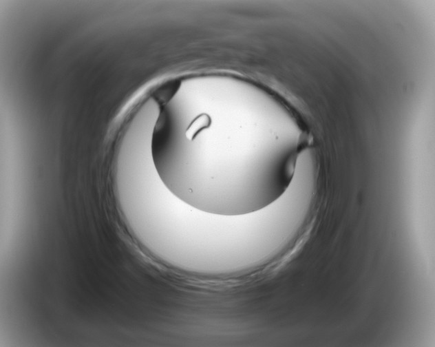 X0000086261502200704261945