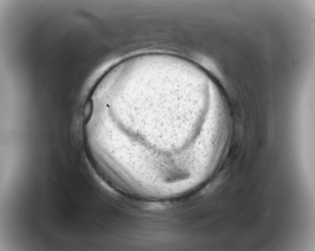 X0000086261504200704261945