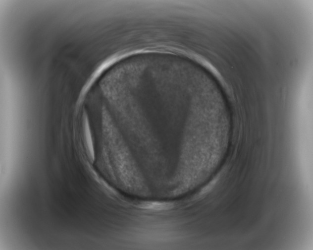 X0000086261506200704261945