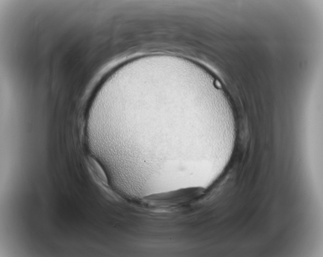 X0000086261507200704261945