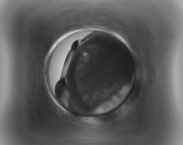 X0000086261508200704261945