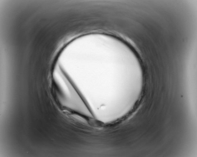 X0000086261509200704261945