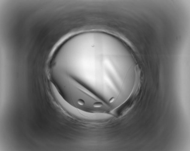 X0000086261510200704261945