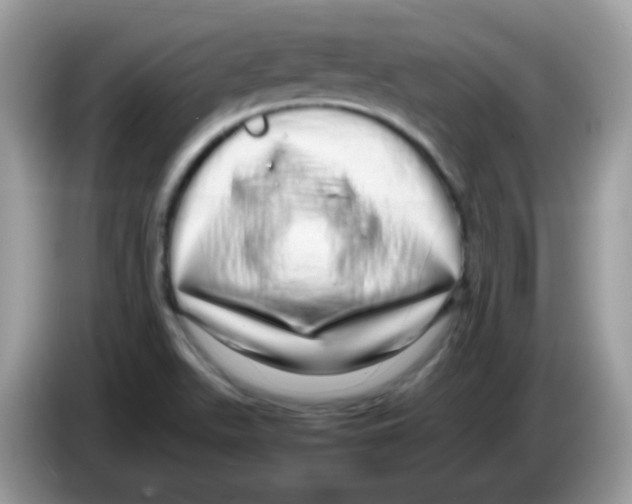 X0000086261511200704261945