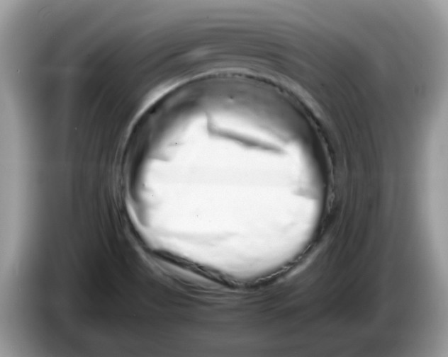 X0000086261513200704261945