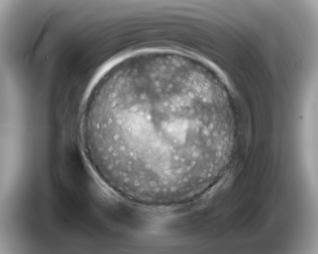X0000086261514200704261945